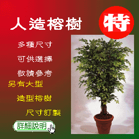 �H�y�_��ִ�