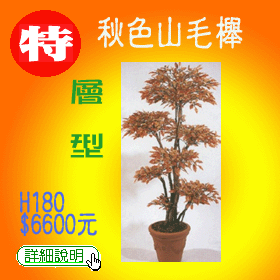 人造秋色山毛櫸