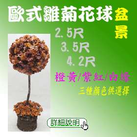 人造歐式雛菊花球盆景