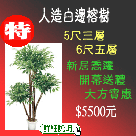�H�y����_��ִ�