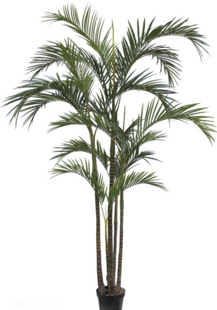 �H�y�����l��ִ�