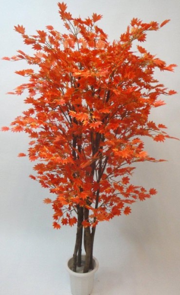 �H�y�u�F�饻����