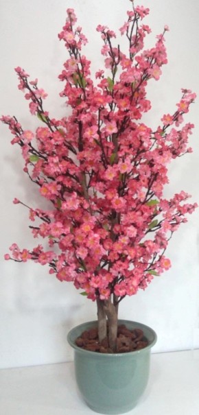 �H�y����ִ�