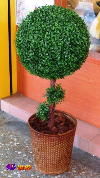 377870c (3��)�@�y�װž�