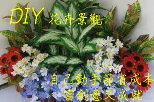 �Ŷ��������Ч@�N�b�ۧ�
