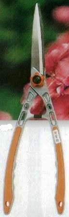 �T�`����