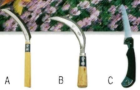 �T�M/������